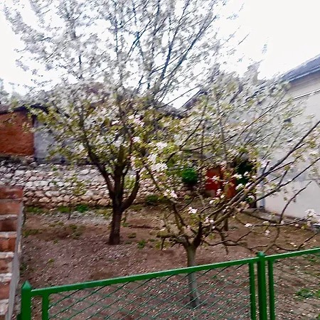 Apartment Stojanovic Paracin