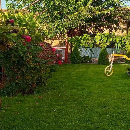 Apartment Stojanovic *
